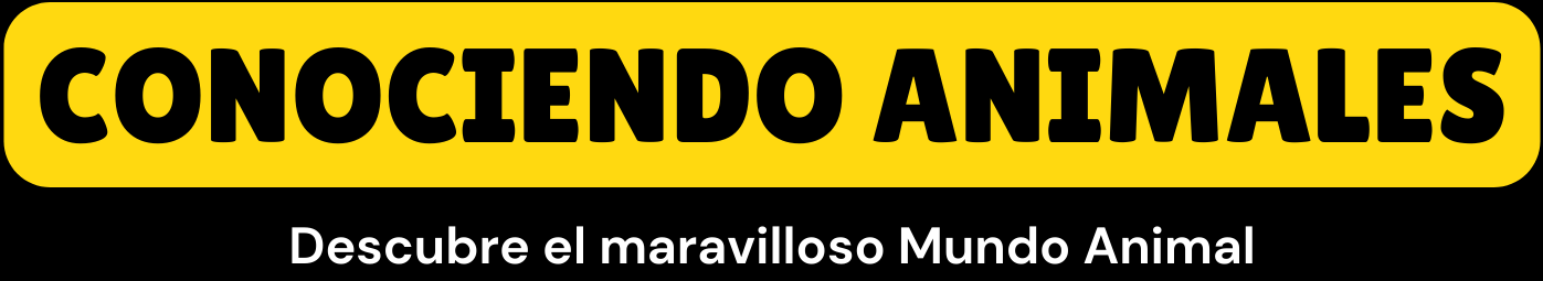 Conociendo Animales